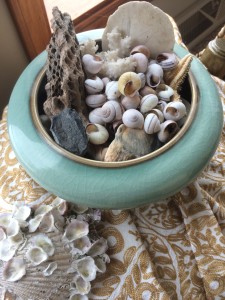 shells in bowl