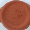 MC-saucerAUfltdOld-M_7275 (640×480) MC-saucerAUfltdOld-M_7275 (640×480)