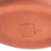 MC-dish oval Aurora-M_6953 (640×480)