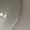 MC-dish oval Aurora-M_6954 (480×640)