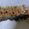 IMG_3569 IMG_3569