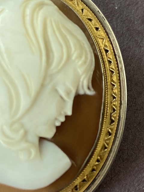 pin-CameoGirl_9134 (480×640)