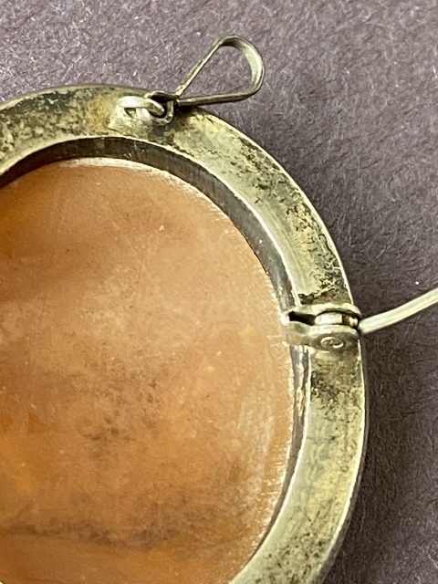 pin-CameoGirl_9139 (480×640)